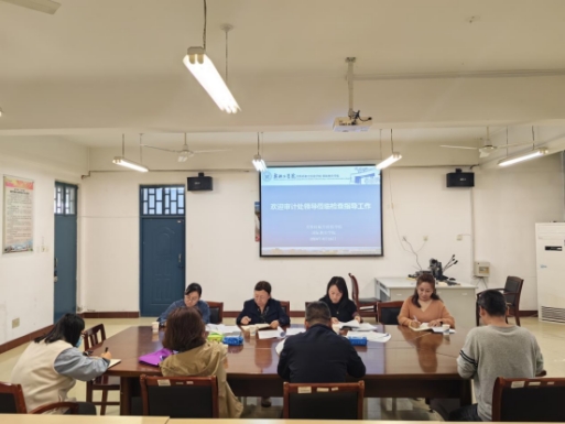 性ー交ー乱一区二区三区开展《2023年高校经济责任审计典型问题》专项核查工作